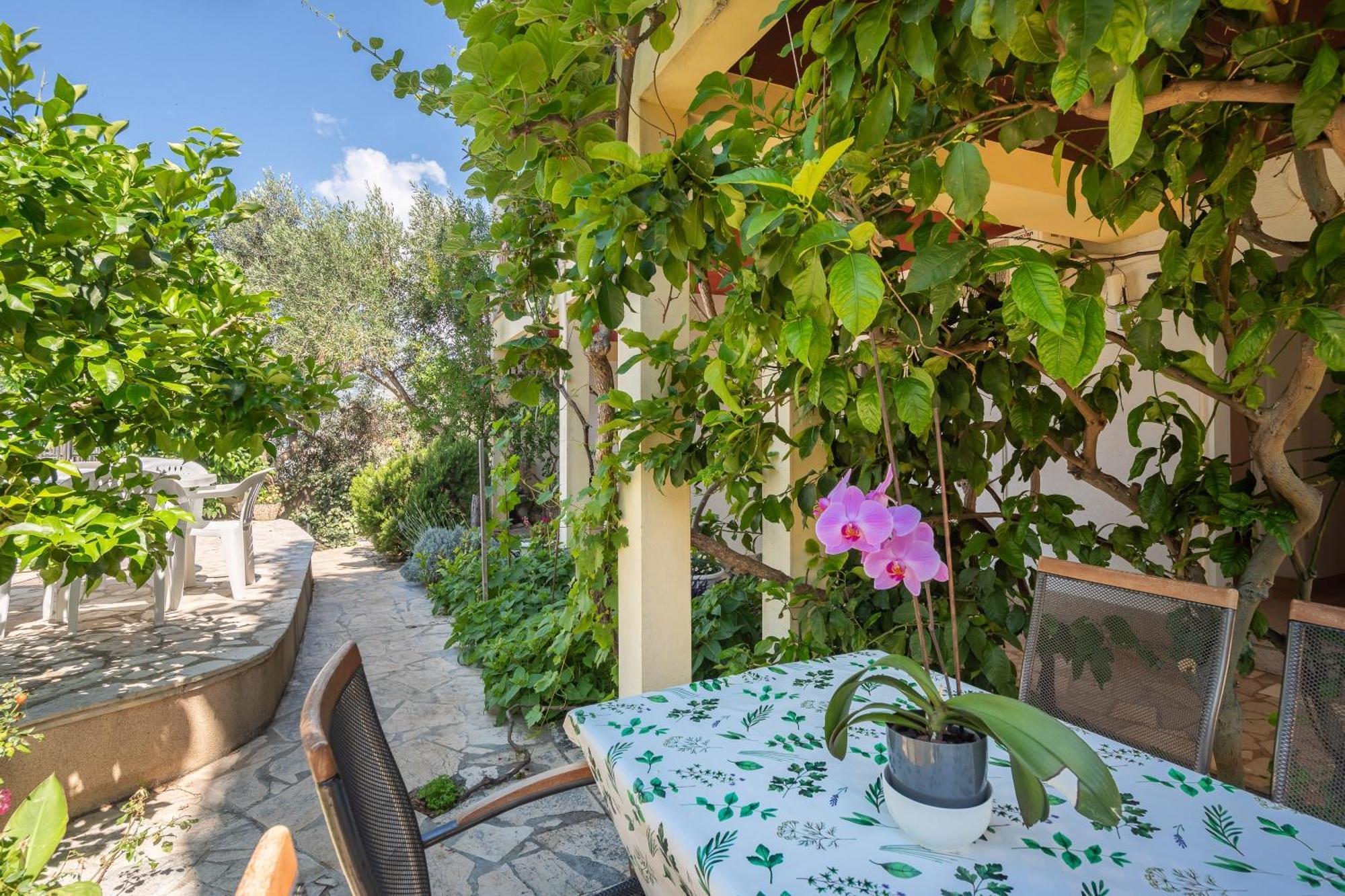 Apartment Roza Omiš