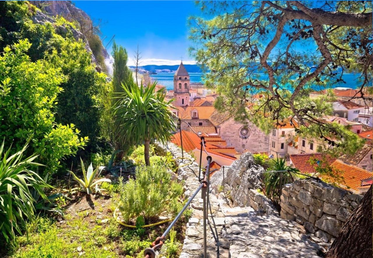 Roza * Omis
