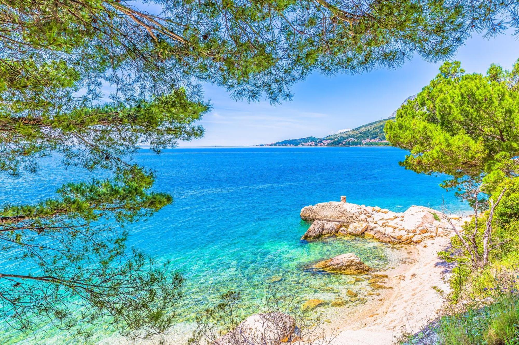 Roza * Omis