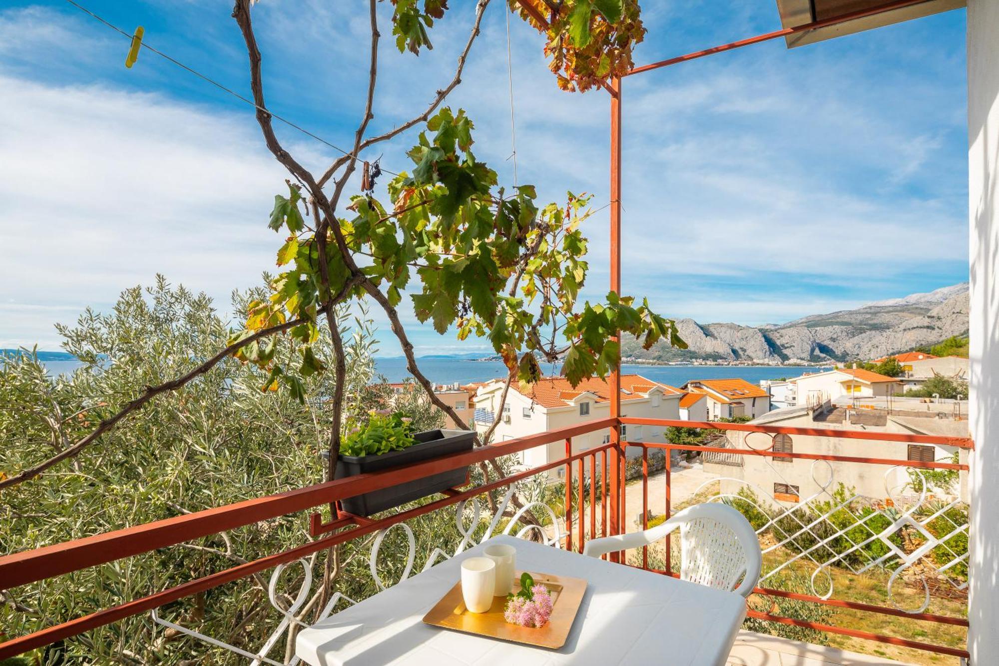 Roza * Omis
